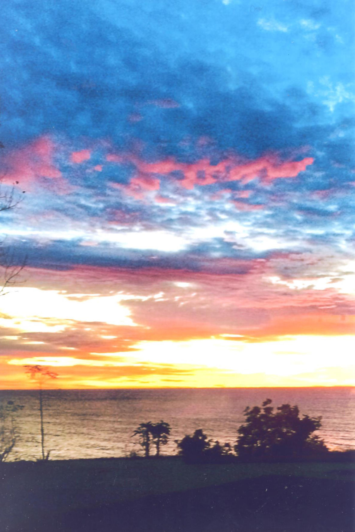 Pat Harden: Multicolor sunrise